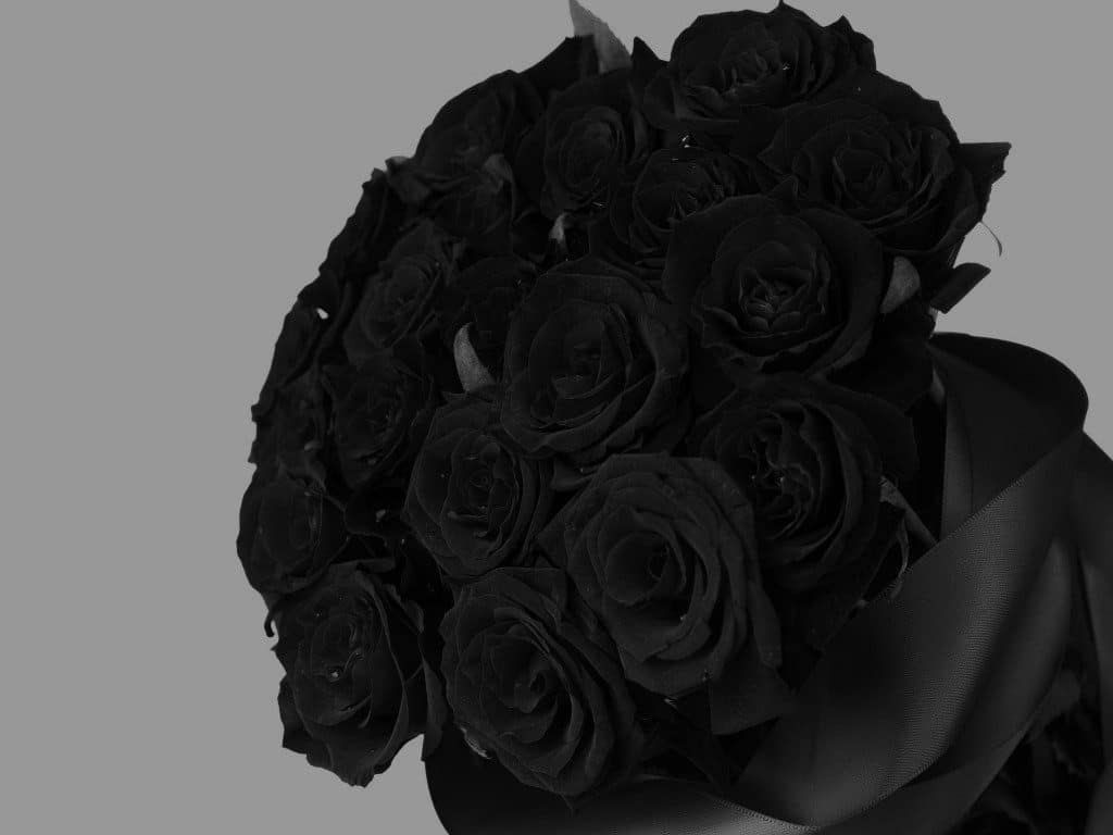 ramo de rosas negras
