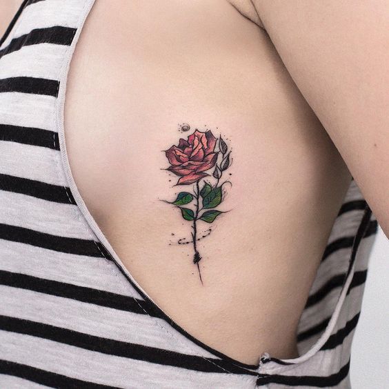 Significado De Las Rosas Rojas Más Hermosas Del Mundo Entero