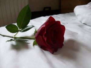 Significado de soñar con rosas rojas